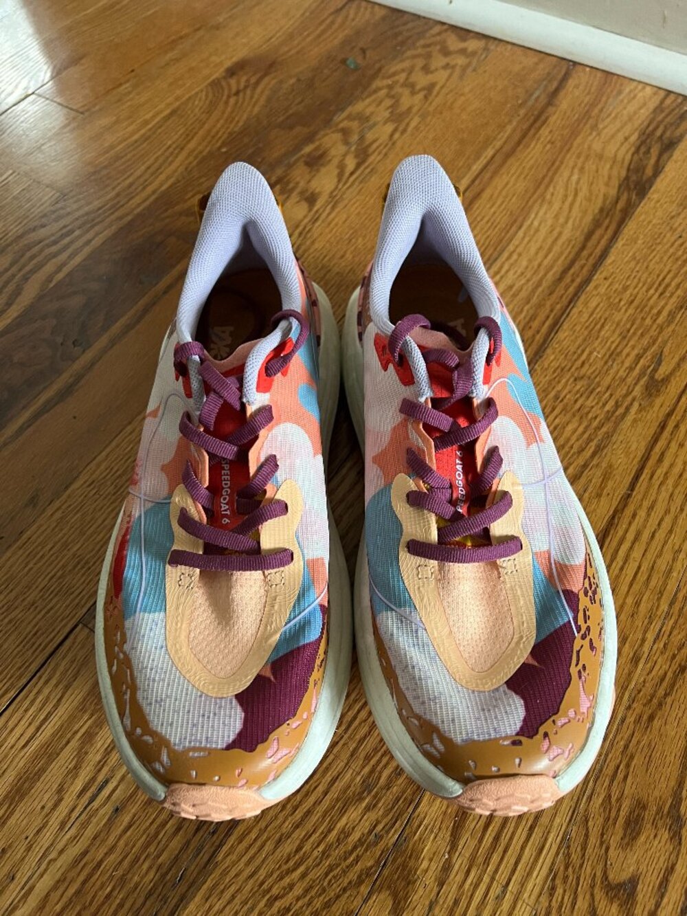 HOKA Speedgoat 6 × PROBA Collab — Women’s 8.5 — Limited Edition — Excellent Cond